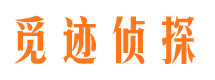 吉安外遇调查取证